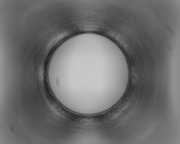 X0000113360631200910061041