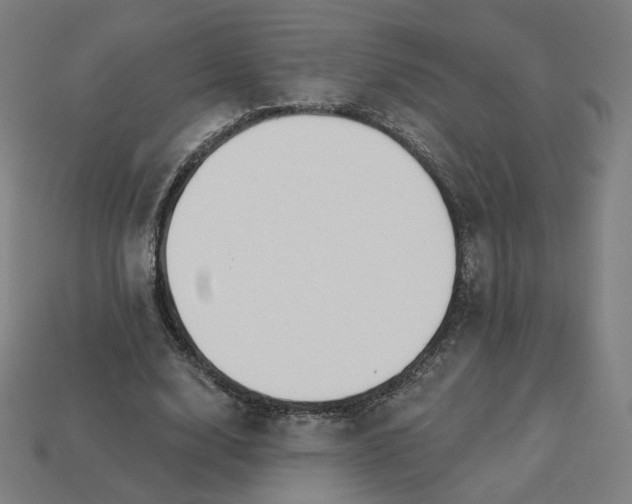 X0000113360632200910061041