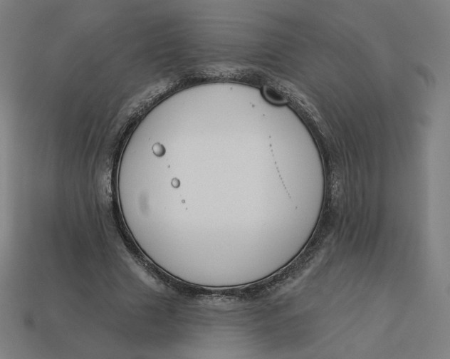 X0000113360633200910061041