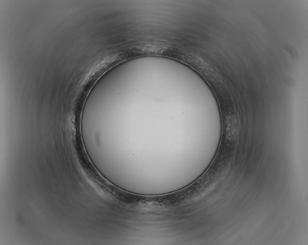 X0000113360634200910061041