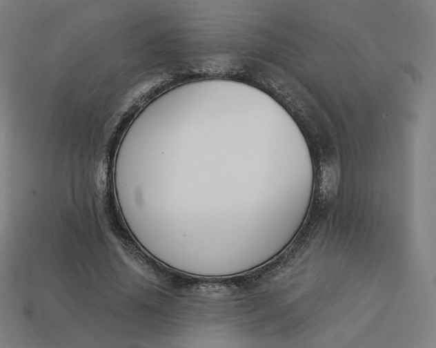 X0000113360636200910061041