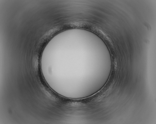 X0000113360637200910061041