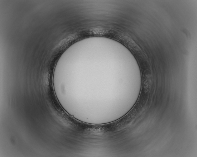 X0000113360639200910061041