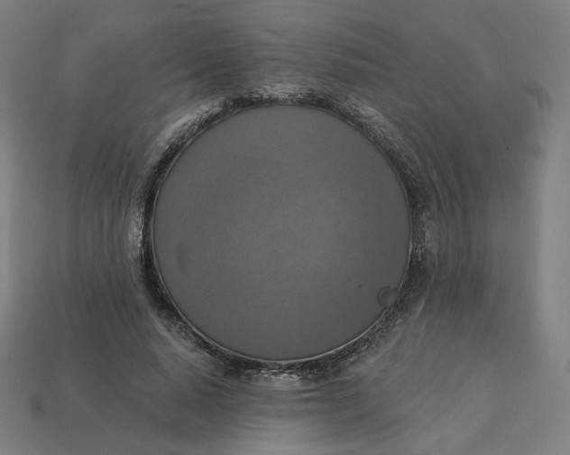 X0000113360640200910061041