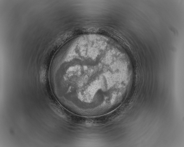 X0000113360641200910061041