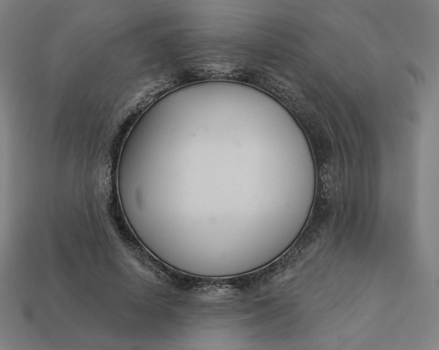 X0000113360642200910061041