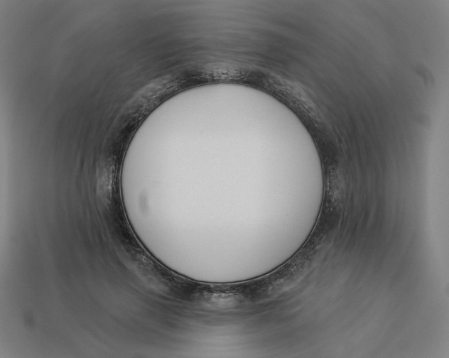 X0000113360645200910061041