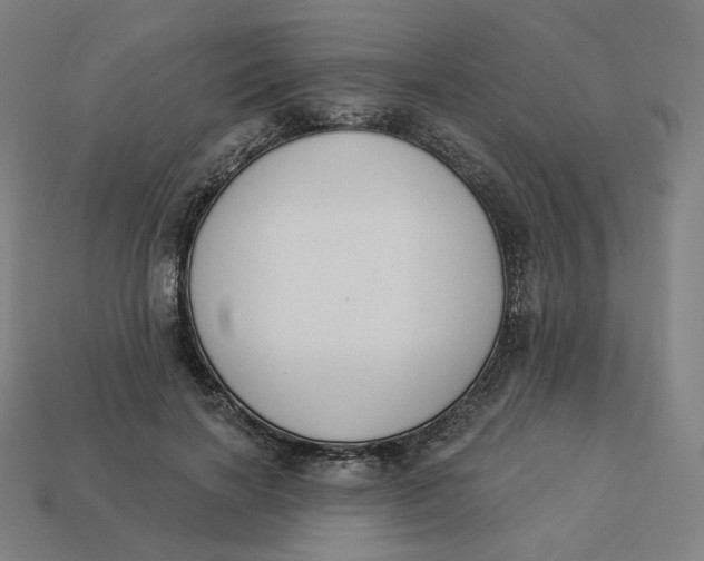 X0000113360646200910061041