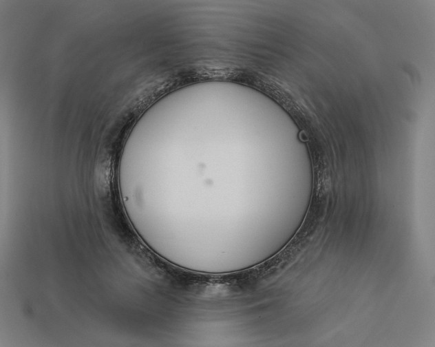 X0000113360647200910061041