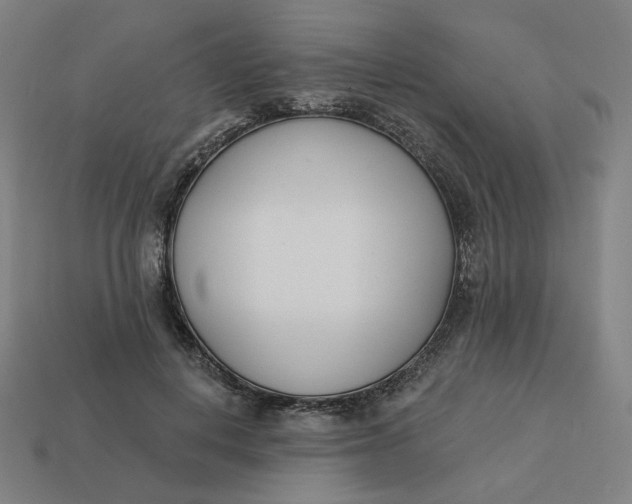 X0000113360648200910061041