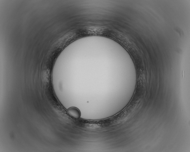 X0000113360649200910061041