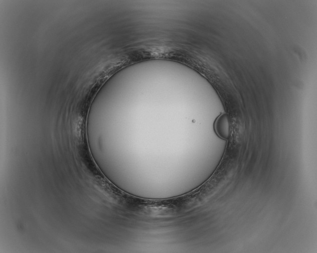 X0000113360650200910061041