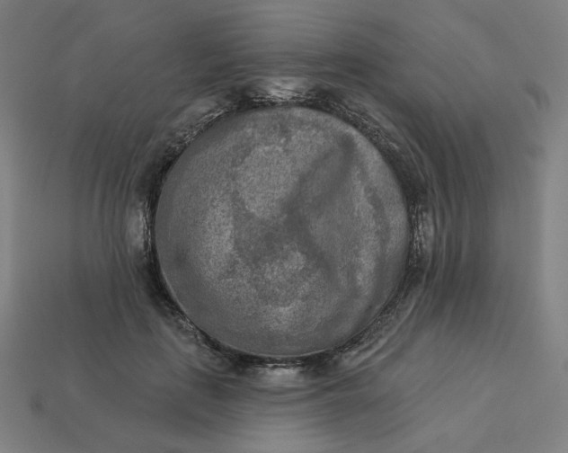 X0000113360651200910061041