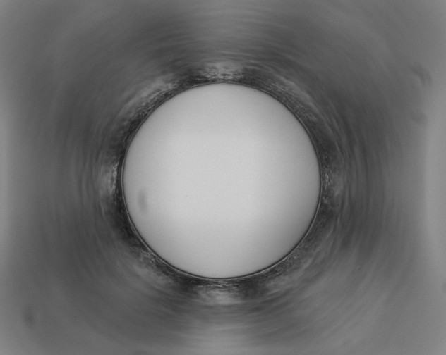 X0000113360652200910061041