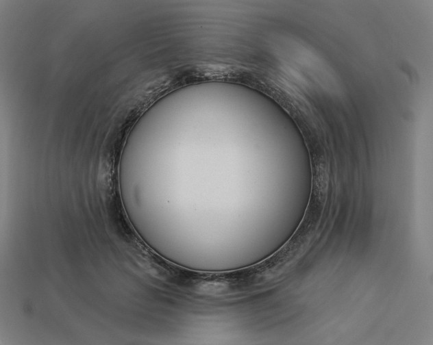 X0000113360653200910061041