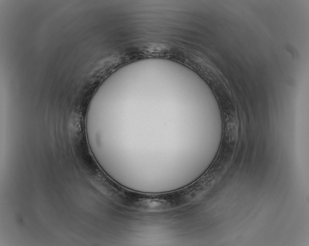 X0000113360654200910061041