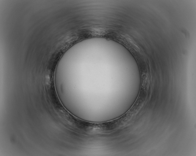 X0000113360655200910061041