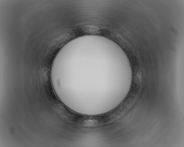 X0000113360658200910061041