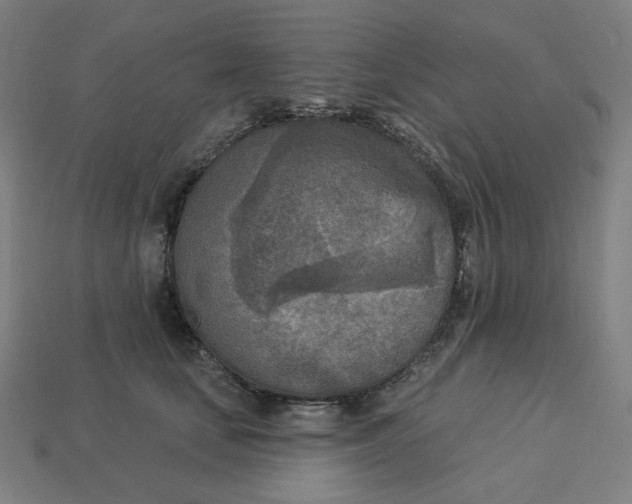 X0000113360659200910061041