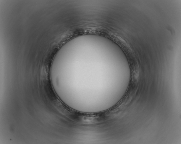 X0000113360661200910061041