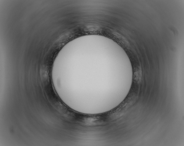 X0000113360662200910061041