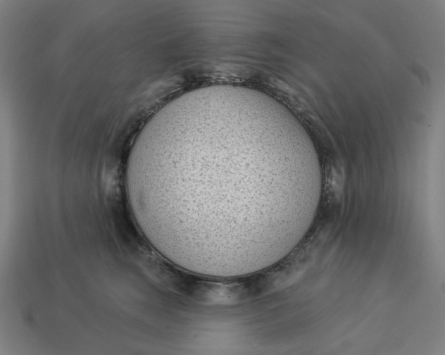 X0000113360663200910061041