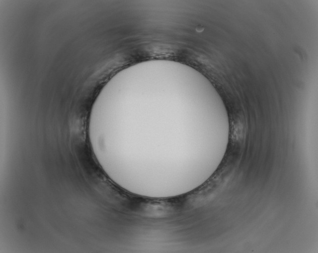 X0000113360666200910061041