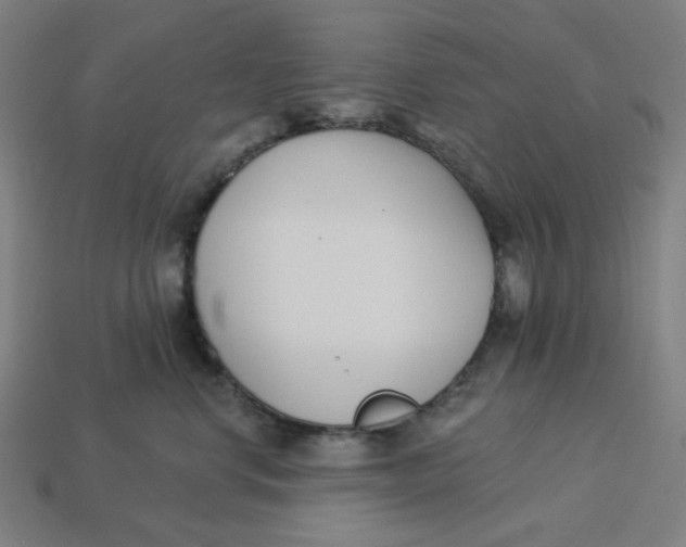 X0000113360668200910061041