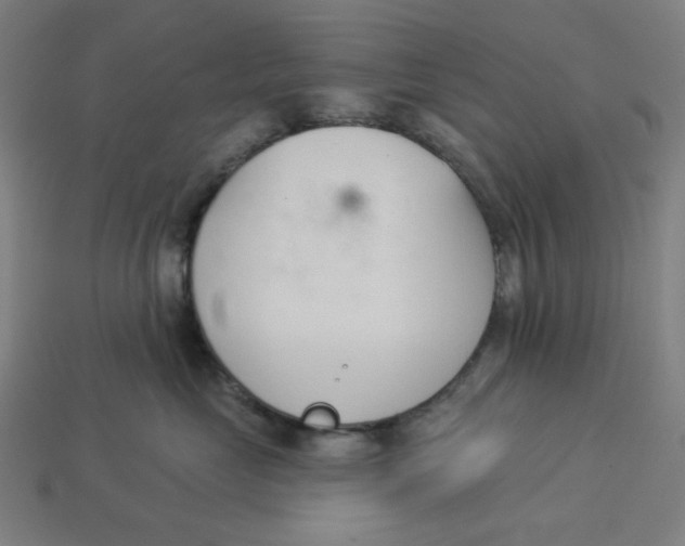 X0000113360669200910061041