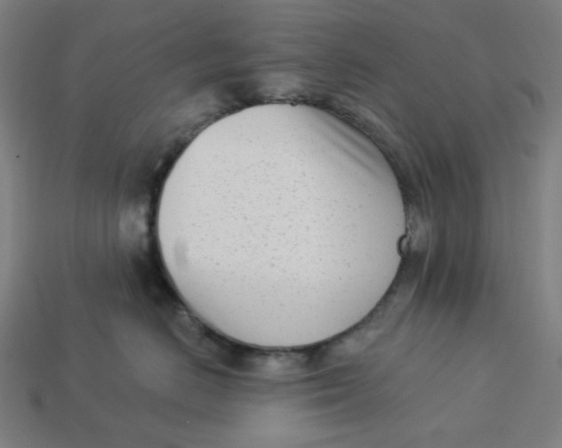 X0000113360670200910061041