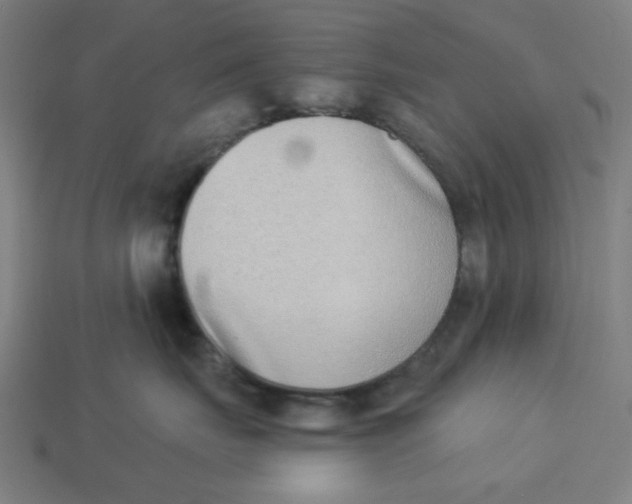 X0000113360671200910061041