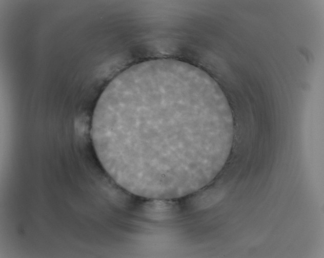 X0000113360672200910061041