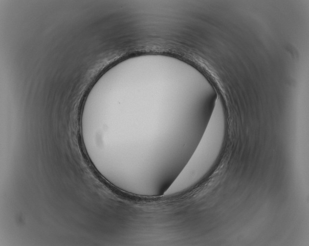 X0000113360673200910061040