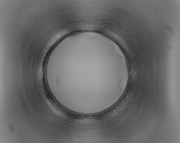 X0000113360674200910061040