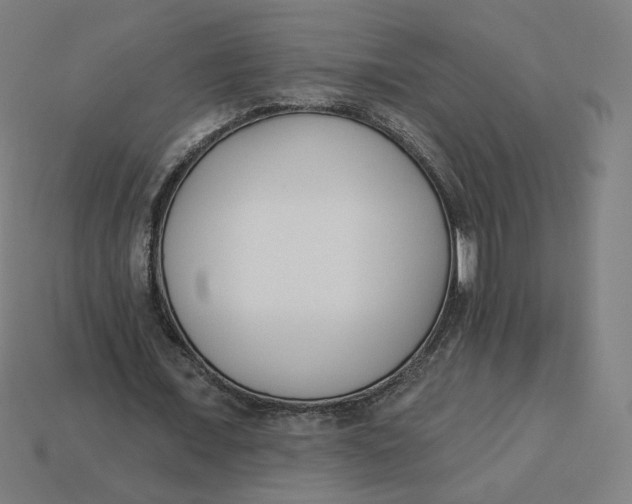 X0000113360675200910061040