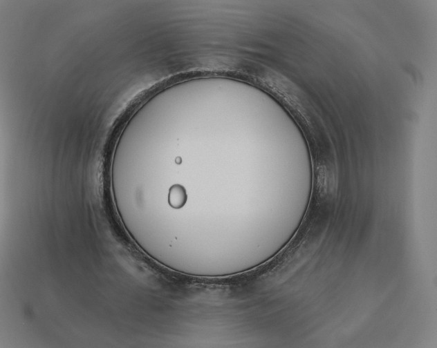 X0000113360676200910061040