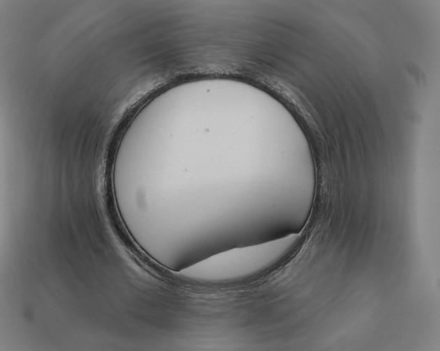 X0000113360677200910061040