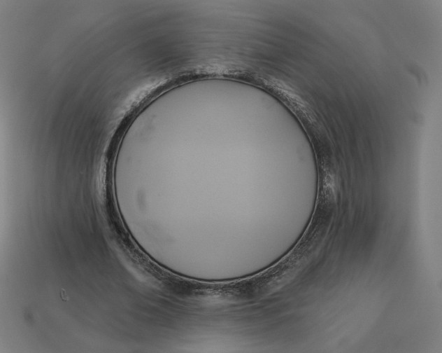 X0000113360678200910061040