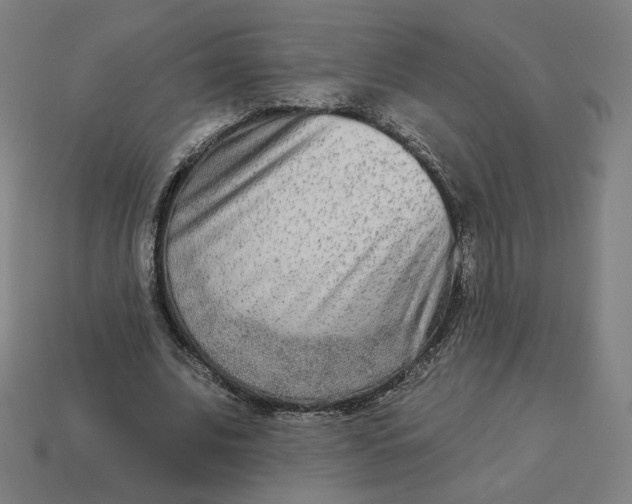 X0000113360679200910061040