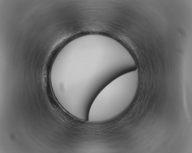 X0000113360680200910061040