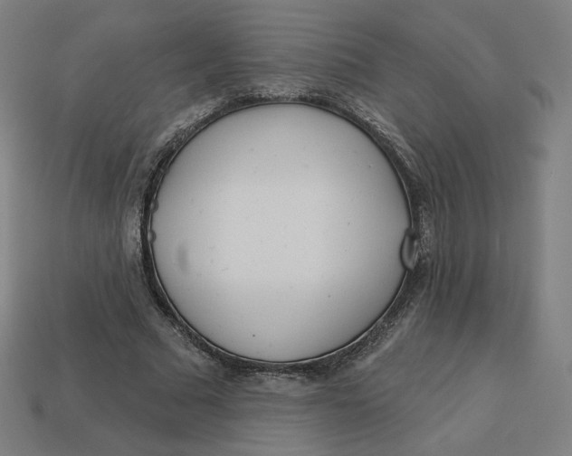 X0000113360681200910061040