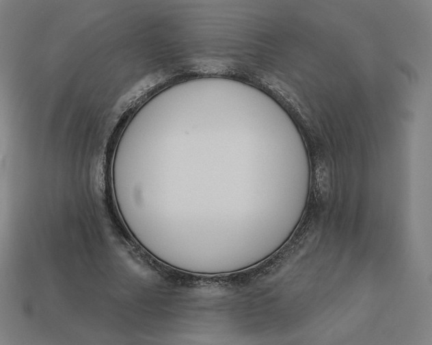 X0000113360682200910061040