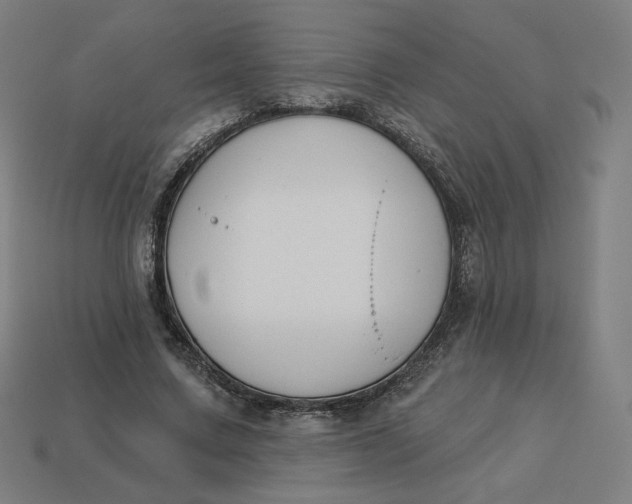 X0000113360683200910061040