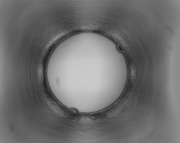 X0000113360684200910061040