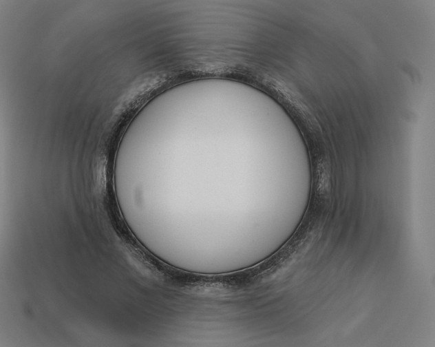 X0000113360685200910061040