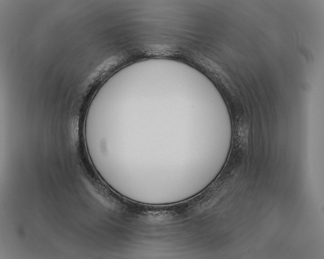 X0000113360686200910061040