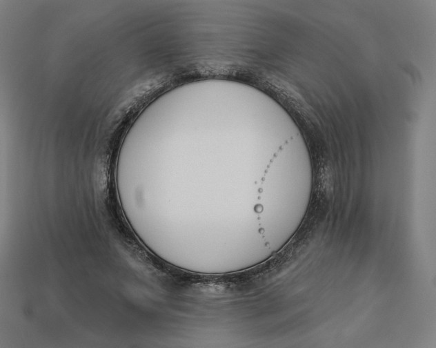 X0000113360687200910061040