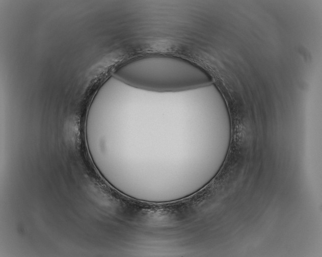 X0000113360688200910061040