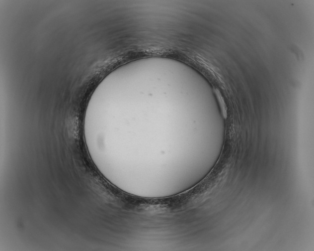 X0000113360689200910061040