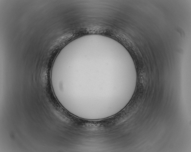 X0000113360690200910061040